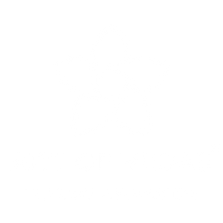 Art of Vedas - Ayurvedic Skincare and Wellness Brand Logo